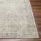 Livabliss Calhoun CAH-2305 Machine Washable Area Rug CAH2305-2773 - alternate 2
